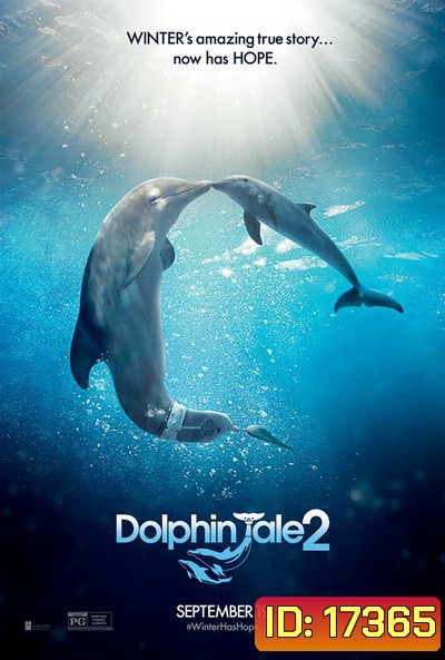 Dolphin Tale 2