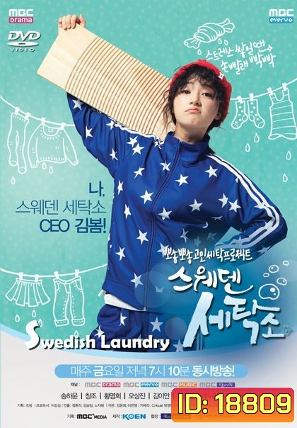Swedish Laundry