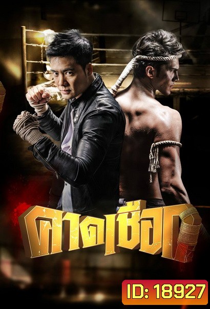 คาดเชือก