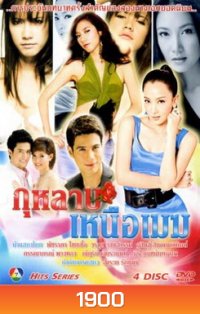 กุหลาบเหนือเมฆ
