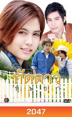 ทัดดาวบุษยา