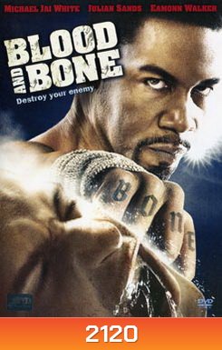Blood And Bone โคตรคนกำปั้นสั่งตาย