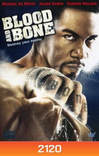 Blood And Bone โคตรคนกำปั้นสั่งตาย