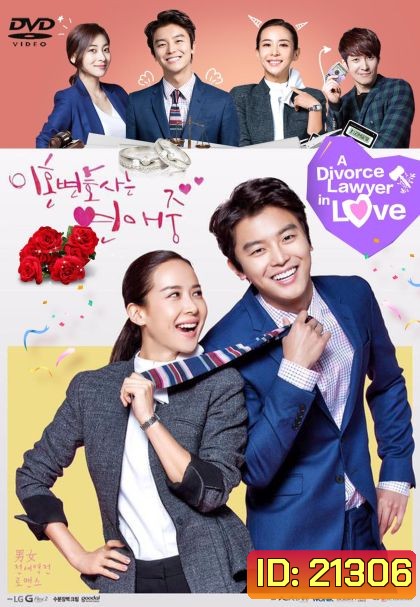 Divorce Lawyer in Love