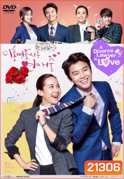 Divorce Lawyer in Love
