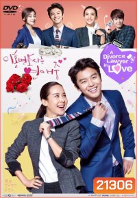 Divorce Lawyer in Love