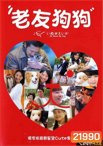 all about my dog เพื่อนสี่ขา ซี้ไม่มีซั้ว