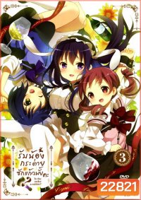 Is the order a rabbit? Vol 3 รับน้องกระต่ายสักแก้วไหมคะ? Vol 3