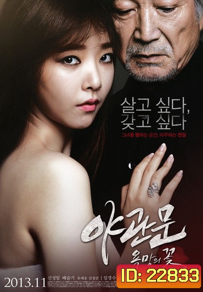 Door to the night รัก l หลอน l ซ่อนเร้น