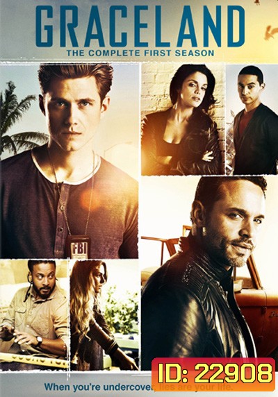 Graceland Season 1