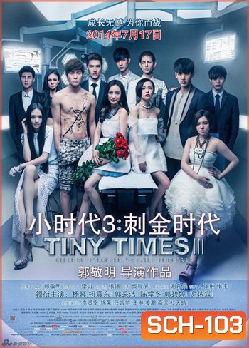 Tiny Times 3.0