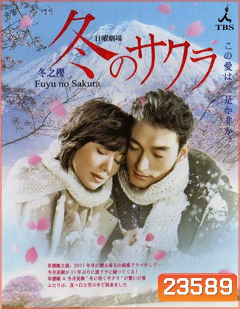 Fuyu no Sakura
