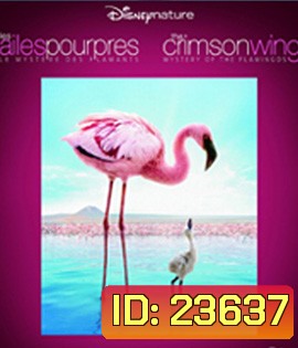 The Crimson Wing: Mystery of the Flamingos (2008)
