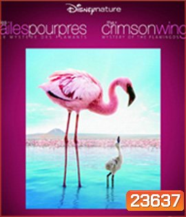 The Crimson Wing: Mystery of the Flamingos (2008)