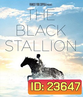 The Black Stallion (1979) อาชาเพื่อนยาก