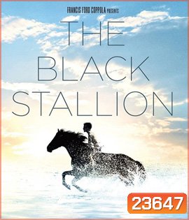 The Black Stallion (1979) อาชาเพื่อนยาก