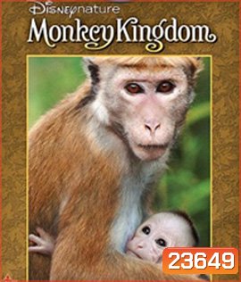 Disneynature: Monkey Kingdom (2015) อาณาจักรลิง จากป่าไม้สู่ป่าเมือง