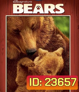 Bears (2014)