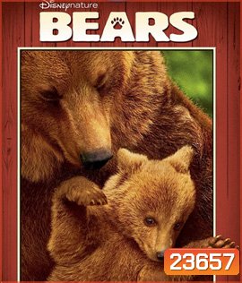 Bears (2014)