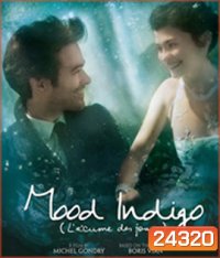 Mood Indigo (2013) รักนี้มหัศจรรย์