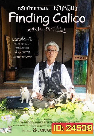 FINDING CALICO กลับบ้านเถอะนะ เจ้าเหมียว