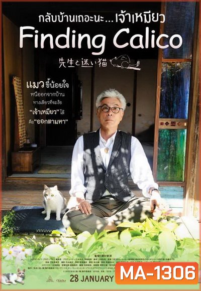FINDING CALICO กลับบ้านเถอะนะ เจ้าเหมียว