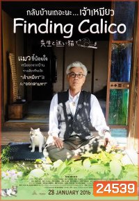 FINDING CALICO กลับบ้านเถอะนะ เจ้าเหมียว