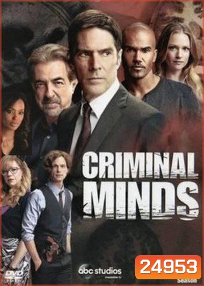 Criminal Minds Season 11 ( EP 1-22 จบ )