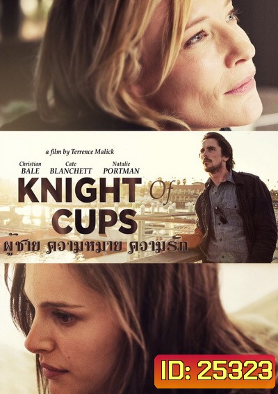 Knight of Cups ผู้ชาย ความหมาย ความรัก