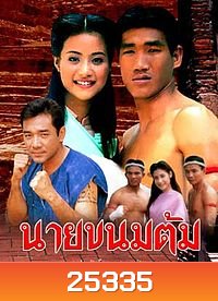 นายขนมต้ม (2538) (22 ตอนจบ)