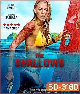 The Shallows (2016) นรกน้ำตื้น