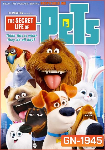The secret life of pets เรื่องลับแก๊งขนฟู