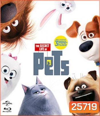 The Secret Life of Pets (2016) เรื่องลับแก๊งขนฟู
