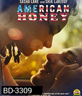 American Honey (2017) อเมริกัน ฮันนี่ (Master)