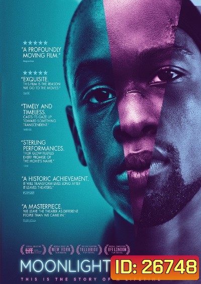 Moonlight มูนไลท์ ใต้แสงจันทร์ ทุกคนฝันถึงความรัก