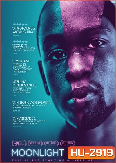 Moonlight มูนไลท์ ใต้แสงจันทร์ ทุกคนฝันถึงความรัก