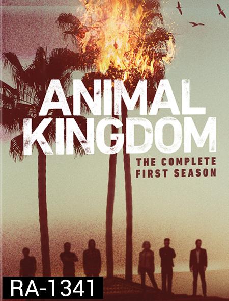 Animal Kingdom : The Complete 1st Season ตระกูลชั่ว ครอบครัวโจร ปี 1 ( 10 ตอนจบ )