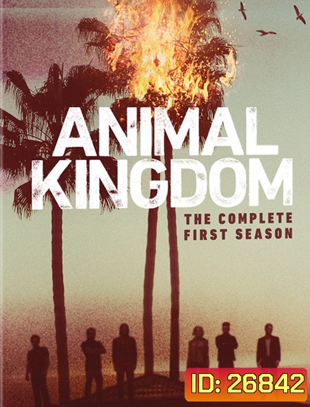 Animal Kingdom Season 1 ตระกูลชั่ว ครอบครัวโจร ปี 1 ( 10 ตอนจบ )