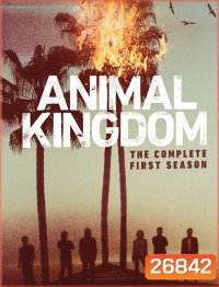 Animal Kingdom Season 1 ตระกูลชั่ว ครอบครัวโจร ปี 1 ( 10 ตอนจบ )