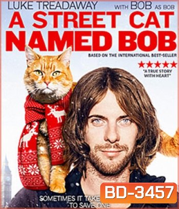A Street Cat Named Bob (2016) บ๊อบ แมว เพื่อน คน
