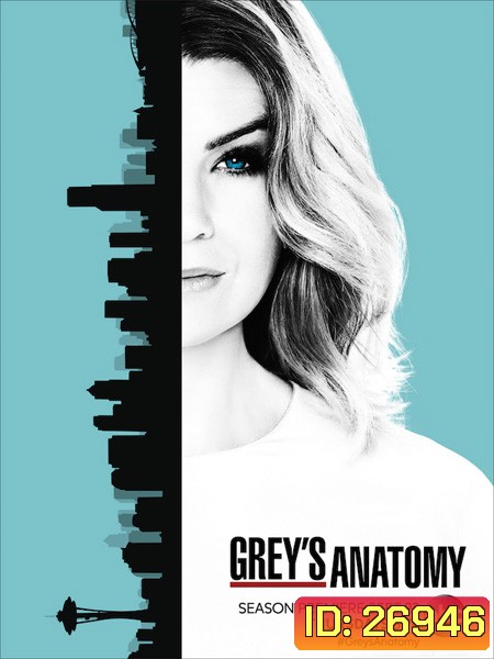 Grey's anatomy Season 13 แพทย์มือใหม่หัวใจเกินร้อย ปี 13 ( 24 ตอนจบ )
