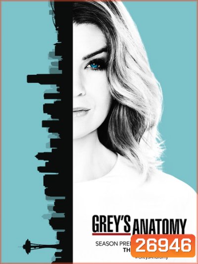 Grey's anatomy Season 13 แพทย์มือใหม่หัวใจเกินร้อย ปี 13 ( 24 ตอนจบ )