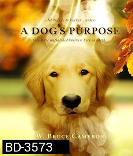 A Dog's Purpose (2017) หมา เป้าหมาย และเด็กชายของผม