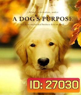 A Dog's Purpose (2017) หมา เป้าหมาย และเด็กชายของผม