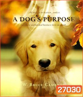 A Dog's Purpose (2017) หมา เป้าหมาย และเด็กชายของผม