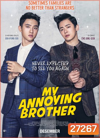 My Annoying Brother