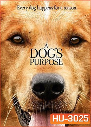 A Dog's Purpose หมา เป้าหมาย และเด็กชายของผม