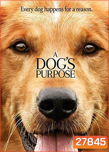 A Dog's Purpose หมา เป้าหมาย และเด็กชายของผม