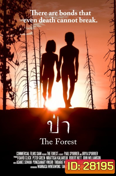 The Forest ป่า