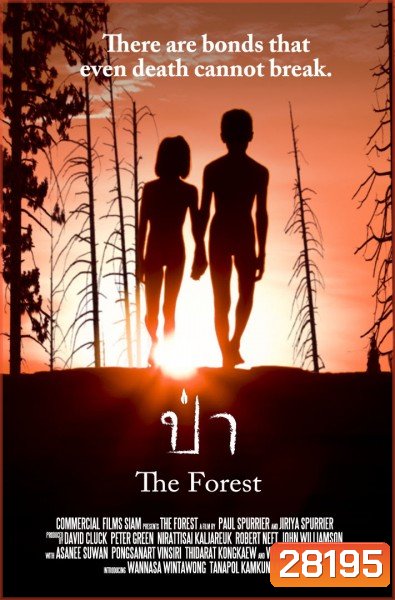 The Forest ป่า